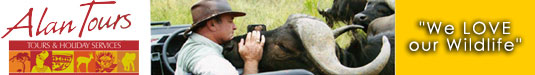 Alan Tours