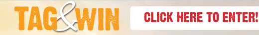 Tag and Win Top Banner