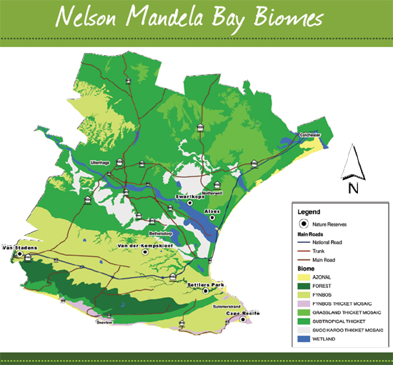 5 Biome Map