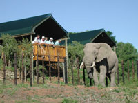 Port Elizabeth, Accommodation