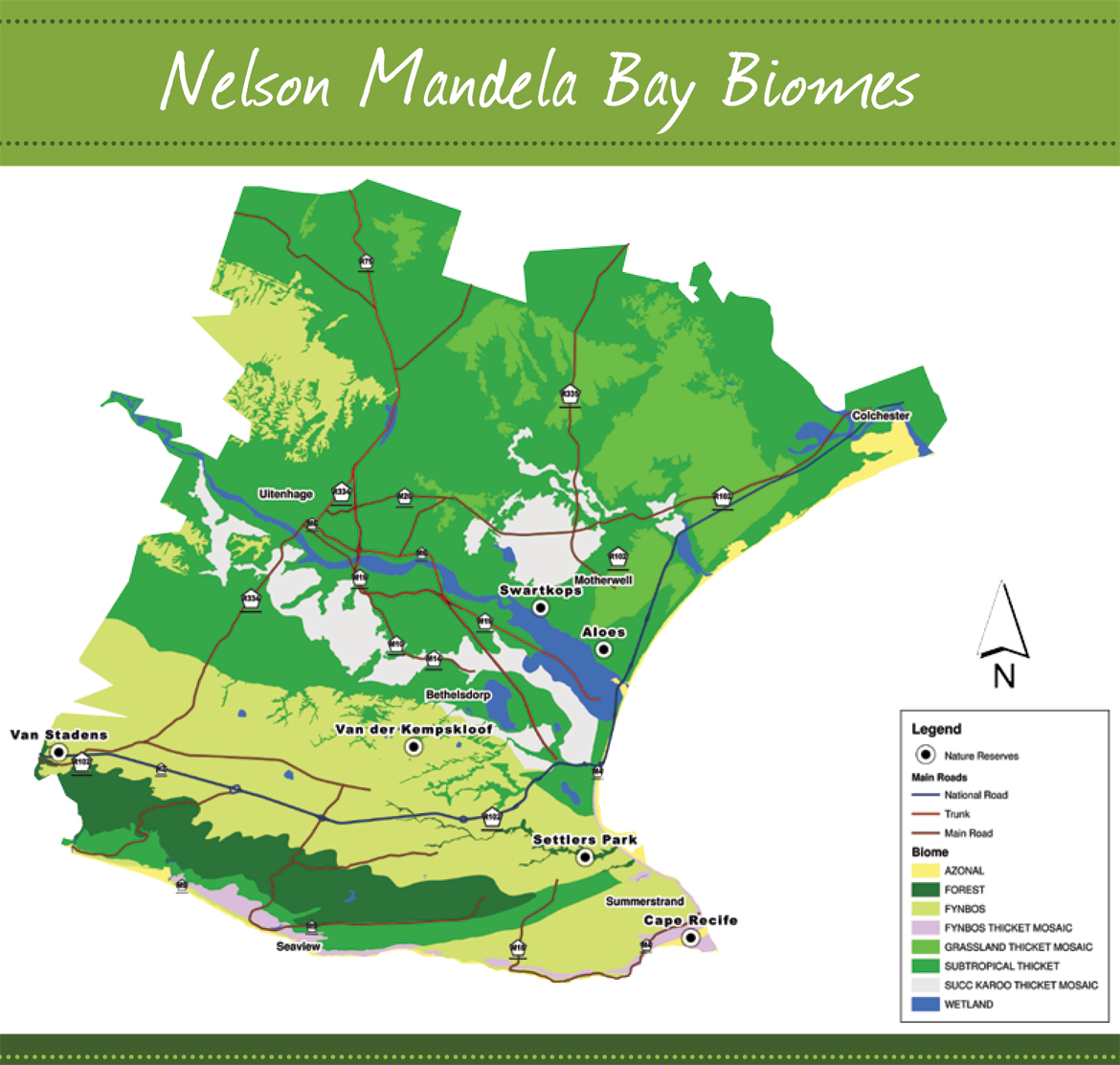 5 Biome City Map