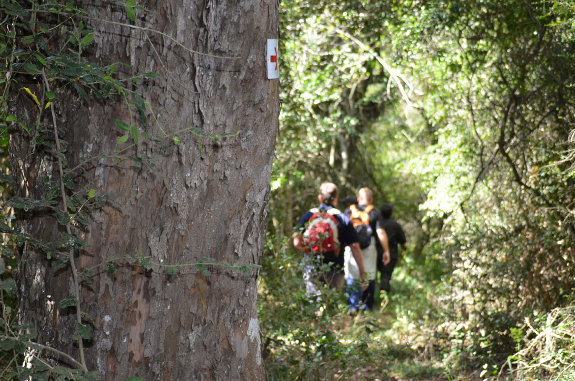 Bushbuck Trail Hike - Port Elizabeth