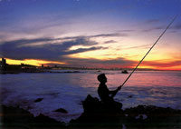 Fishing Sunset Port Elizabeth