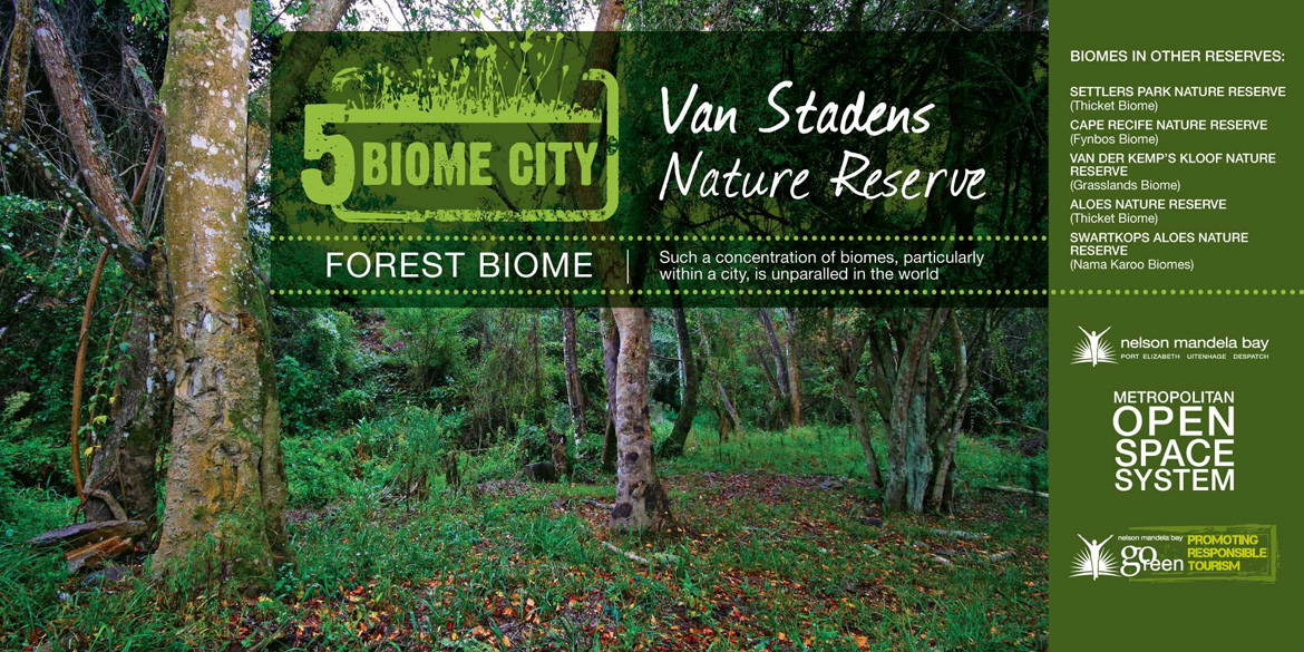 Forest Biome Port Elizabeth