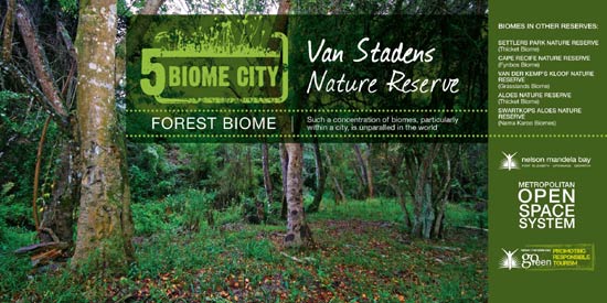 Forest Biome (Van Stadens Nature Reserve)