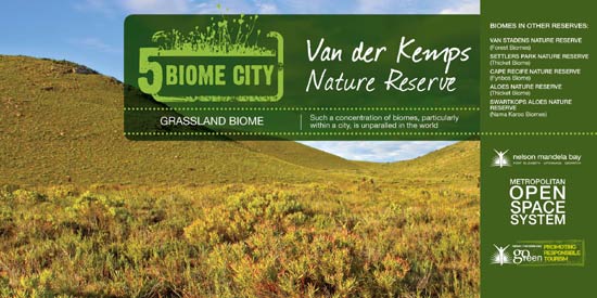 Grassland Biome (Van Der Kemps Kloof)