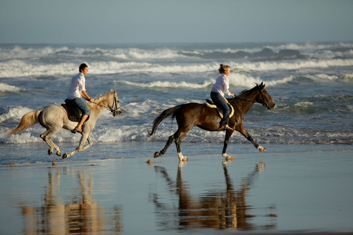 Honeymoon Horse Back Riding