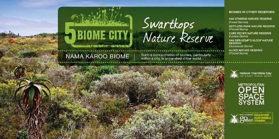 Nama Karoo Biome (Swartkops Nature Reserve)