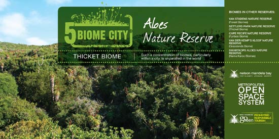 Thicket Biome (Settlers Park and Aloes Reserve)