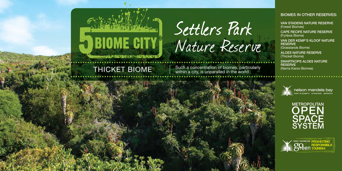 Thicket Biome Port Elizabeth