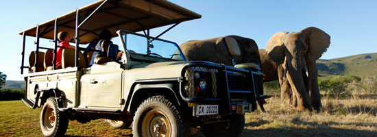 Game Drive at one of our many Game Reserves