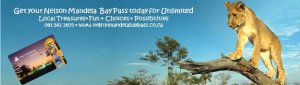 Addo Elephant National Park and Nelson Mandela Bay Tourism joins forces in promoting Addo Elephant National Park
