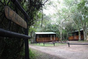 ADDO’S NEW LANGEBOS HUTS LAUNCHED