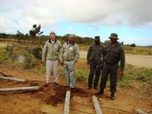 NMBT applauds fence felling as Addo elephants return ‘home’