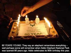 Happy 80th Addo Elephant National Park 
