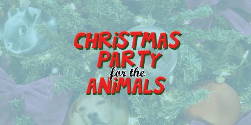 Christmas Party For The Animals - Fido's Christmas Gift