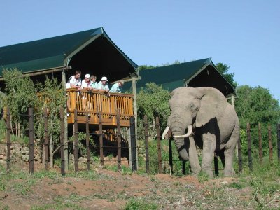 Win Two Nights for Two at Addo Elephant National Park
