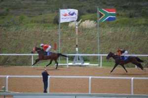 FAIRVIEW RACECOURSE ALL SET FOR THE FESTIVAL OF RACING! 