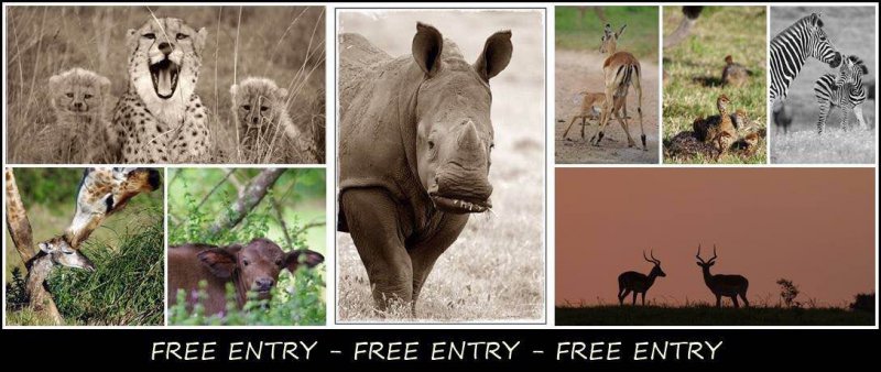 Kragga Kamma Game Park - Open Day