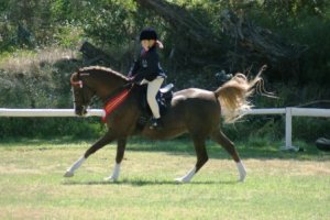 SA Pony Rider Championships