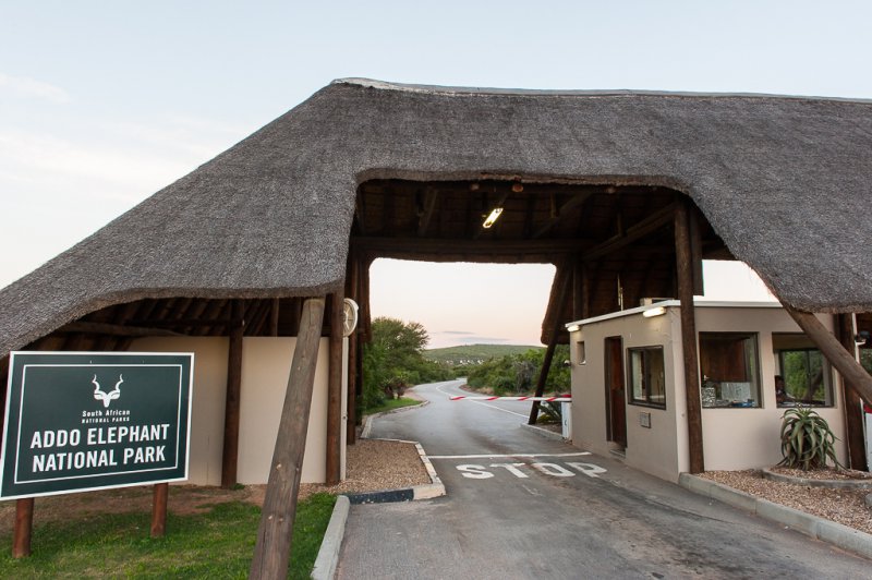 South African National Parks Week