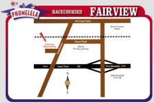 Thoroughbred Horseracing at Fairview - East Cape Paddock Stakes