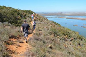 ZWARTKOPS CONSERVANCY SPRING WALK