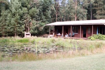 Treehouse Forest Lodge