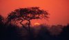 Kruger National Park