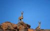 Namaqua National Park