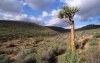 Namaqua National Park