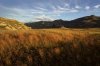 Golden Gate National Park