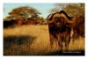 Mokala National Park