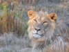 Addo Elephant National Park