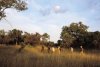 Kruger National Park
