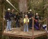 Canopy Tours