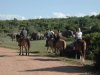 Addo Elephant National Park