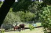 Deer Park Country House