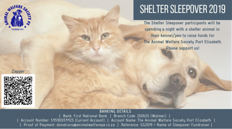 2019 Animal Welfare Society Port Elizabeth Shelter Sleepover