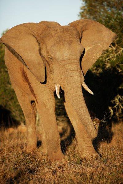  SA NATIONAL PARKS WEEK DATES ANNOUNCED