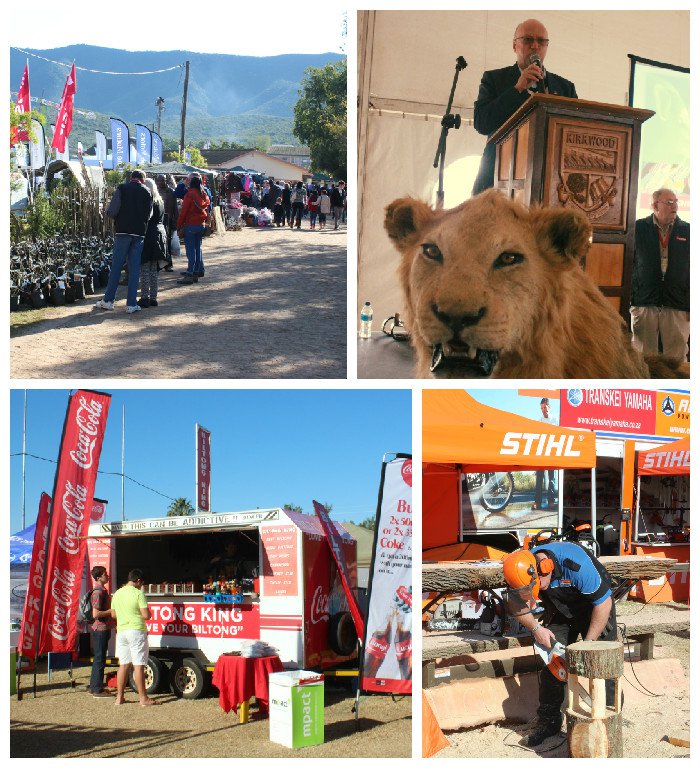 ABSA KIRKWOOD WILDSFEES IS WILD@HEART IN 2015 