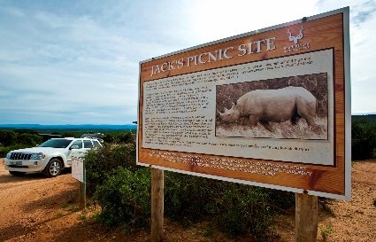 ADDO ELEPHANT TO CELEBRATE FREE ACCESS WEEK