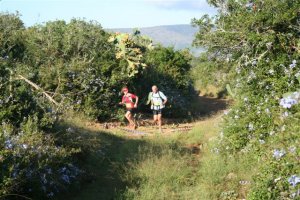 Addo Elephant Trail Run