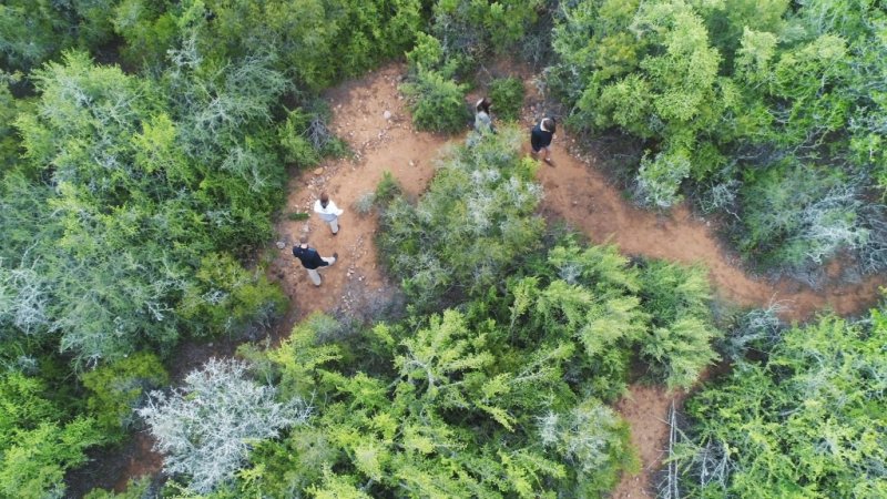 ADDO WILDLIFE ECO WALKING SAFARI