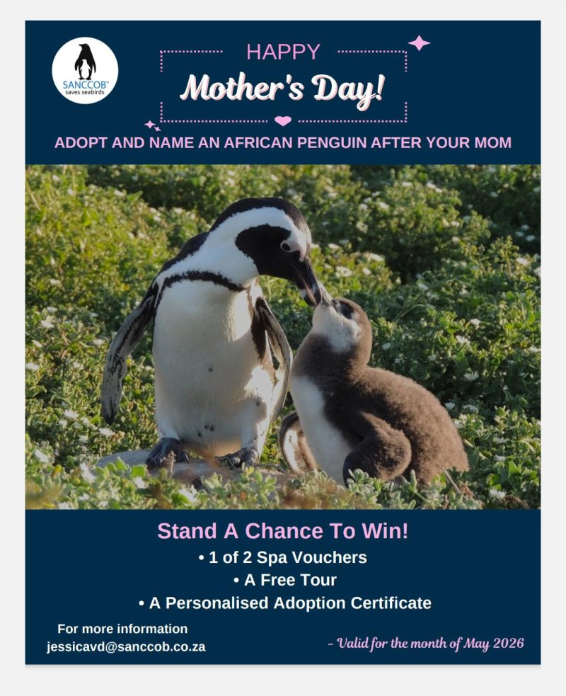 Adopt a Chick this Mother’s Day Month of May!