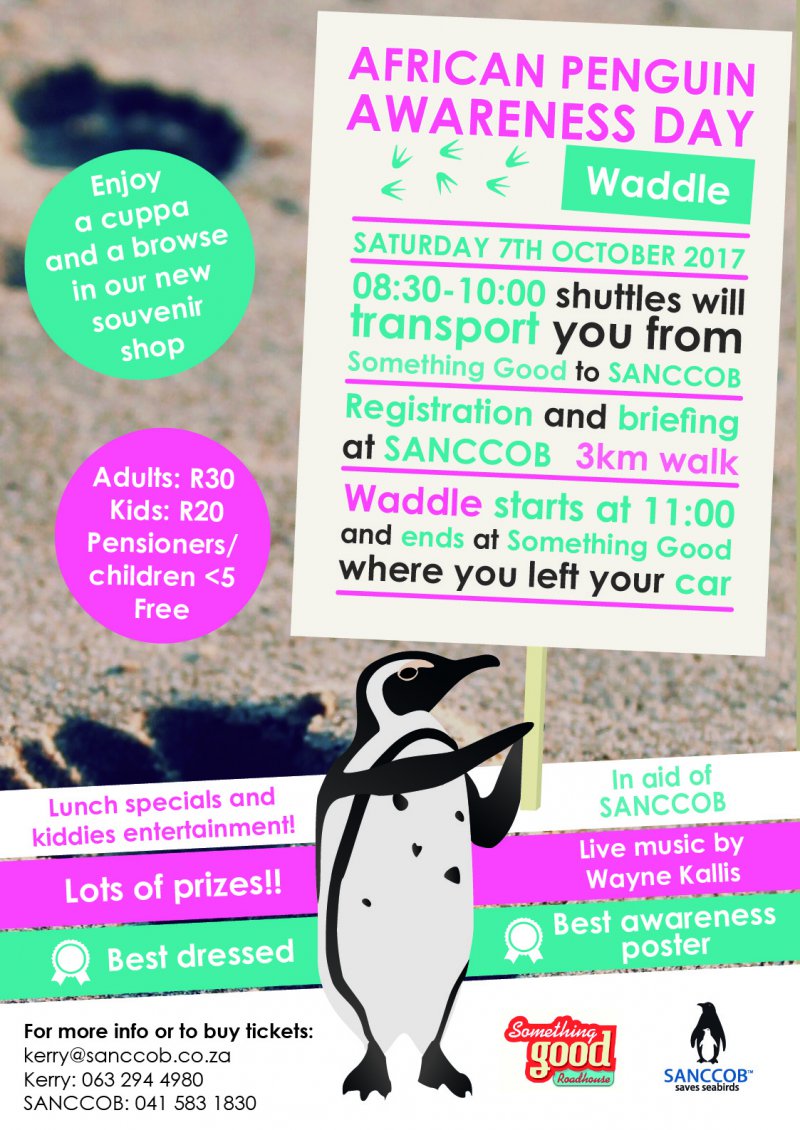 African Penguin Awareness Day Waddle
