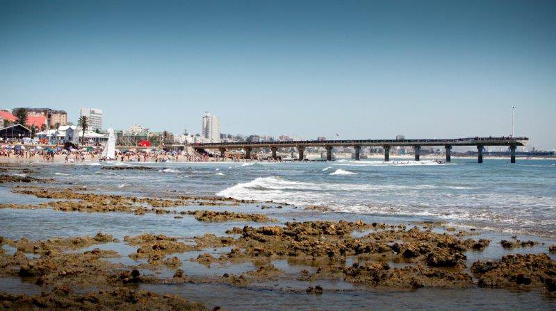 ALGOA BAY SEA BASED AQUACULTURE DEVELOPMENT ZONE (ADZ) RE-EVALUATION