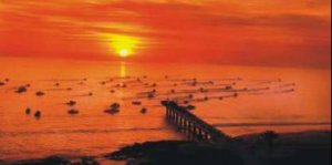 ALGOA BAY TUNA CLASSIC 2012