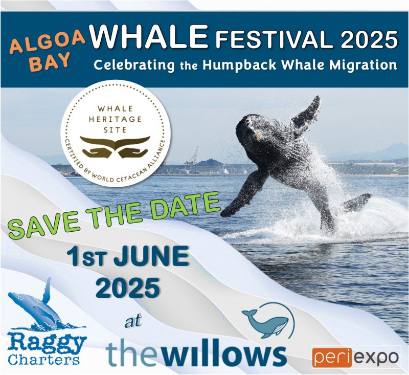 Algoa Bay Whale Festival 2025