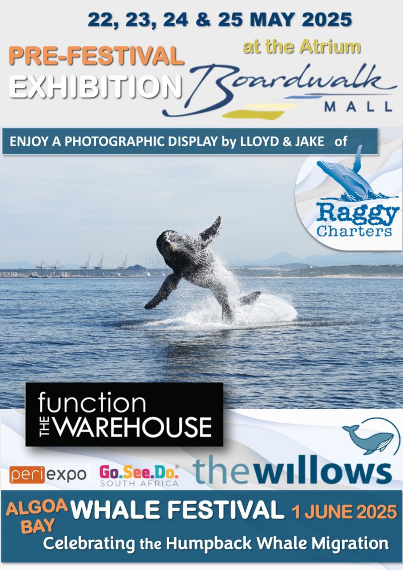 Algoa Bay Whale Festival 2025 – Photo Exhibition